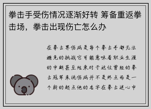 拳击手受伤情况逐渐好转 筹备重返拳击场，拳击出现伤亡怎么办